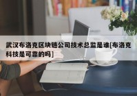 武汉布洛克区块链公司技术总监是谁[布洛克科技是可靠的吗]