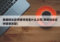 美国硅谷区块链项目是什么公司[美国硅谷区块链俱乐部]